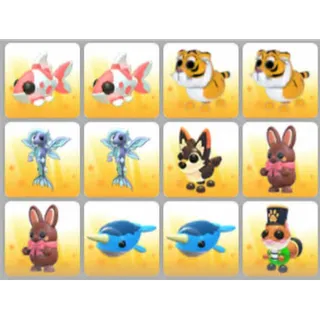 BUNDLE PET X12