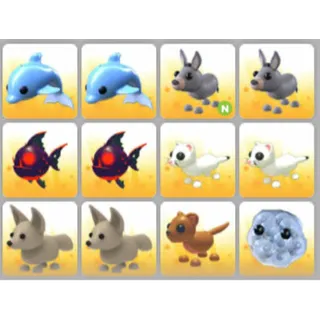 BUNDLE PET X12