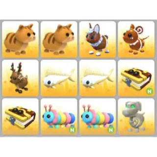 BUNDLE PET X12