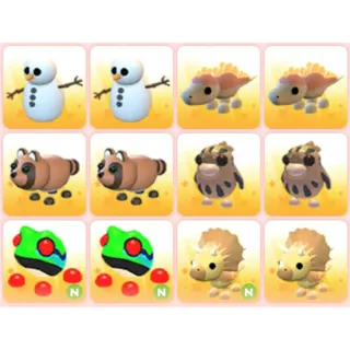 BUNDLE PET X12