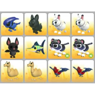 BUNDLE PET X12
