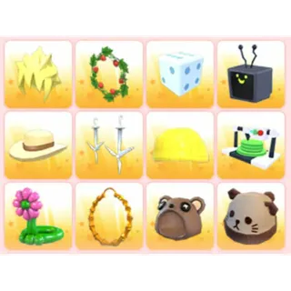 BUNDLE PET WEAR X12