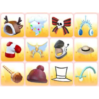 BUNDLE PET WEAR X12