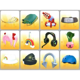 BUNDLE PET WEAR X12