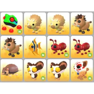 BUNDLE PET X12