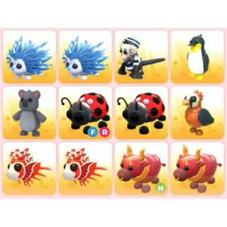 BUNDLE PET X12
