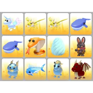 BUNDLE PET X12