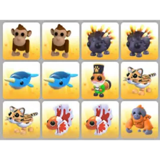 BUNDLE PET X12