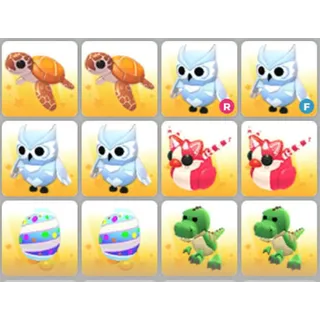 BUNDLE PET X12