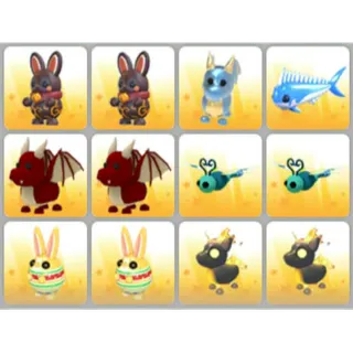 BUNDLE PET X12
