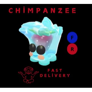 Berry Cool Cube FR