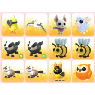 BUNDLE PET X12