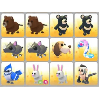 BUNDLE PET X12