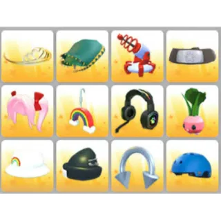 BUNDLE PET WEAR X12
