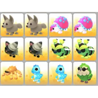 BUNDLE PET X12