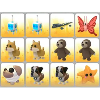 BUNDLE PET X12