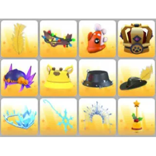 BUNDLE PET WEAR X12