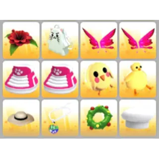 BUNDLE PET WEAR X12