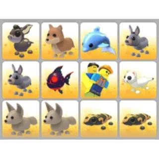 BUNDLE PET X12