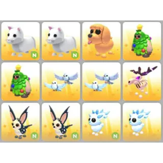 BUNDLE PET X12
