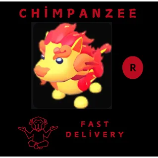 GUARDIAN LION R