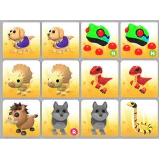 BUNDLE PET X12