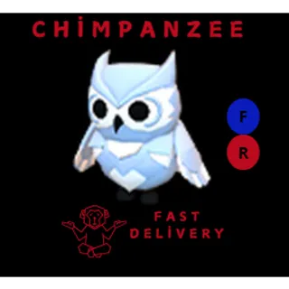 SNOW OWL FR