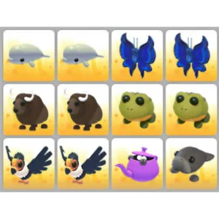 BUNDLE PET X12