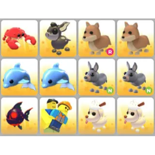 BUNDLE PET X12