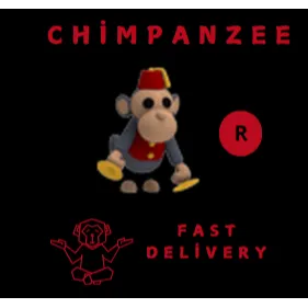TOY MONKEY R