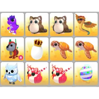 BUNDLE PET X12
