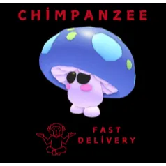 Mushroom Friend