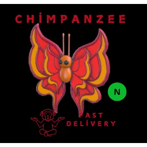 Neon Vermilion Butterfly