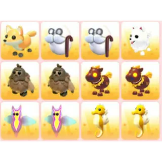 BUNDLE PET X12