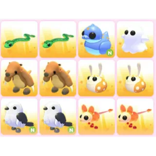 BUNDLE PET X12