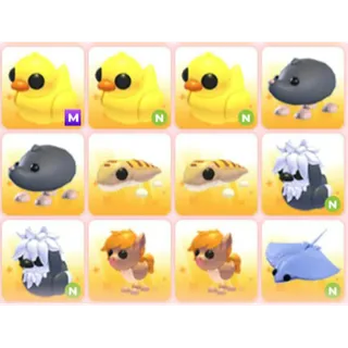 BUNDLE PET X12
