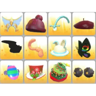 BUNDLE PET WEAR X12