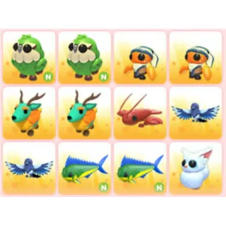 BUNDLE PET X12