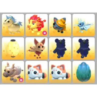 BUNDLE PET X12