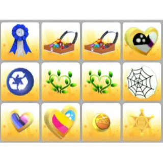 BUNDLE PET WEAR X12