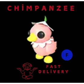 FLOWER POWER DUCKLING F