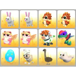 BUNDLE PET X12
