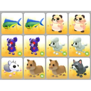 BUNDLE PET X12