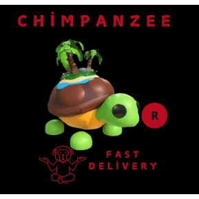 Tortuga De La Isla R