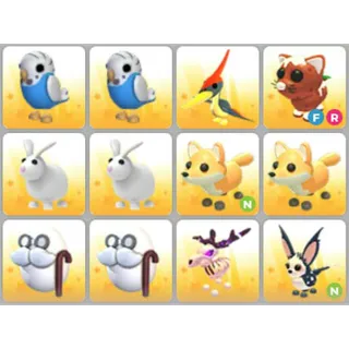 BUNDLE PET X12