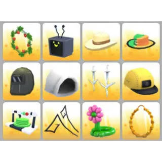 BUNDLE PET WEAR X12