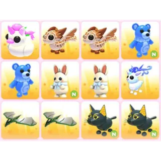 BUNDLE PET X12