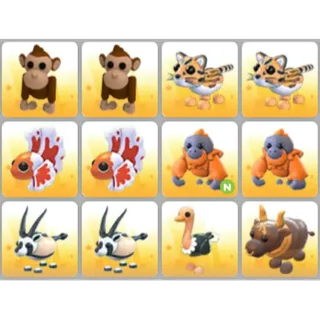 BUNDLE PET X12