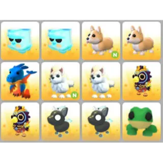 BUNDLE PET X12