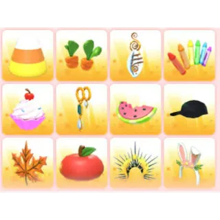 BUNDLE PET WEAR X12